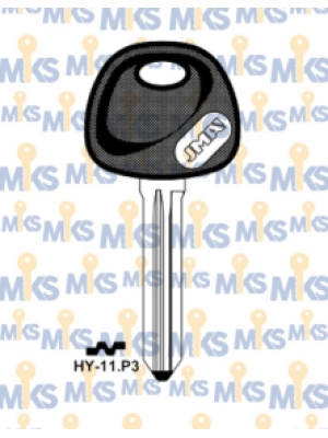 HY-11.P3