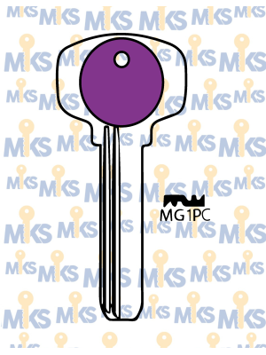 MG1- COLORES