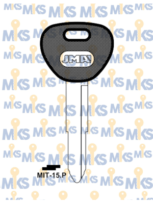 MIT-15.P