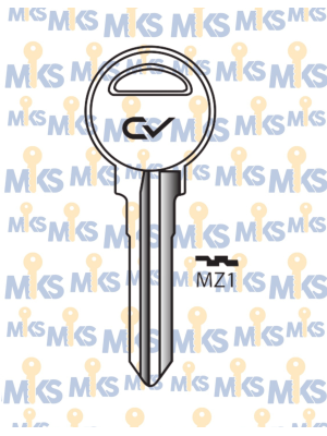 MZ1