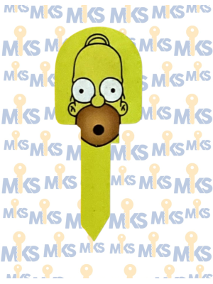P036 (HOMERO)