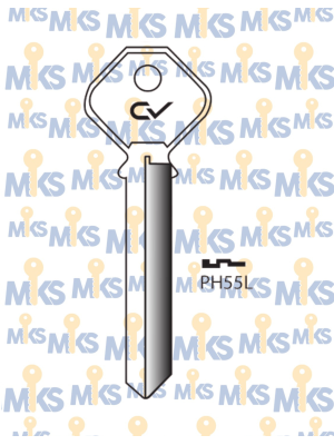 PH55L
