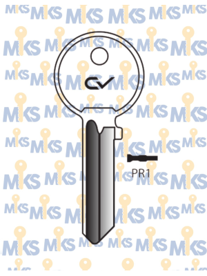 PR1