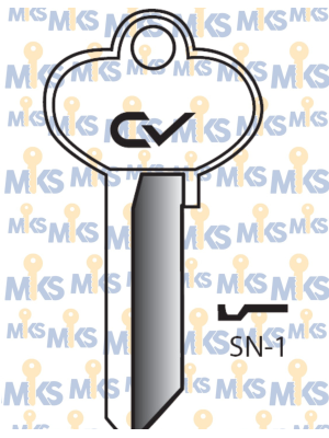 SN1