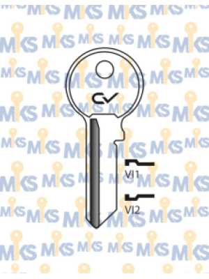 CV1 (VI1) / CV2 (VI2)