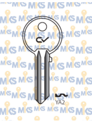 CY2 (YA2)