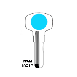 MG1- COLORES