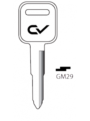 GM29