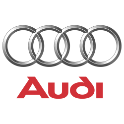 CARCASAS AUDI (0)