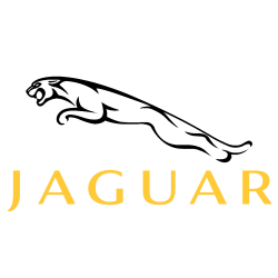 JAGUAR (3)