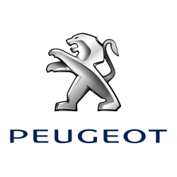 CARCASAS PEUGEOT  (2)