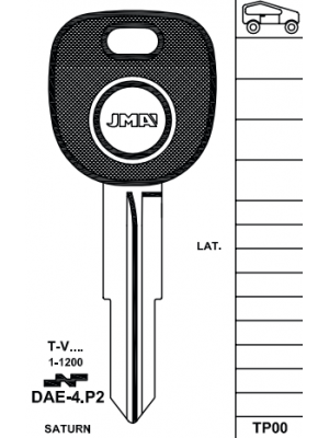 TPDAE-4.P2