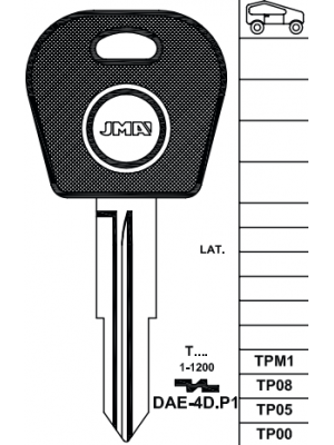 TPDAE-4D.P1