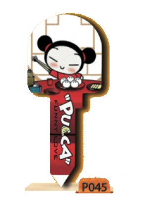 P045 (PUCCA)